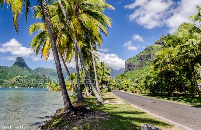 Mo'orea. Polinesia Francesa.