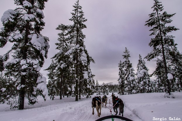 Por los bellos parajes del PN Urho Kekkonen.