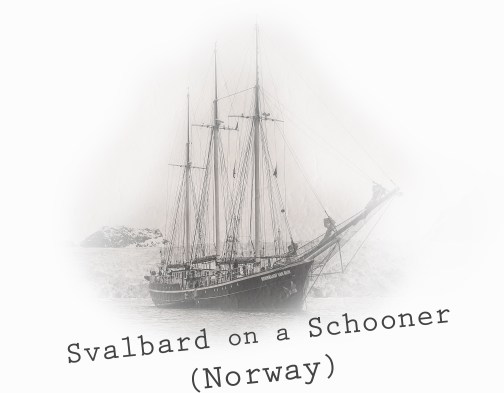 Svalbard CUADRADO02